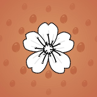 Sakura Flower #11895