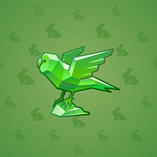Rare Bird #3469
