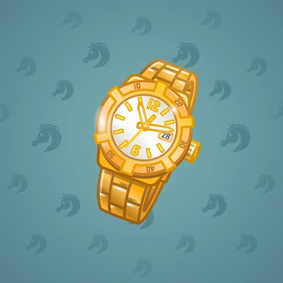 Swiss Watch #18570
