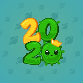 Big Year #4291