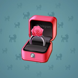 Diamond Ring #27933