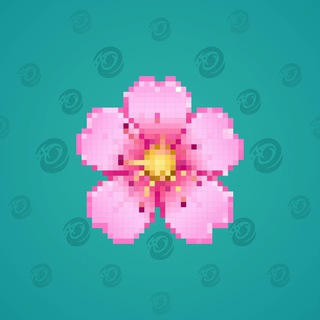 Sakura Flower #14202