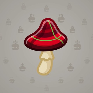 Spy Agaric #74575
