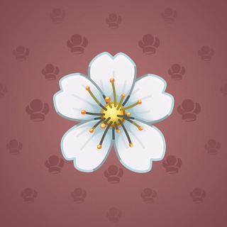 Sakura Flower #10581