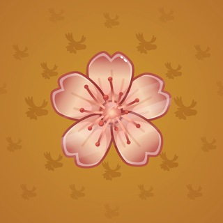 Sakura Flower #13158