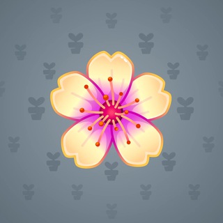 Sakura Flower #70678