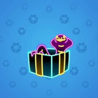 Snake Box #143610