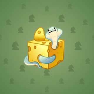 Snake Box #32120