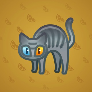Scared Cat #14070
