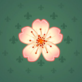 Sakura Flower #30878