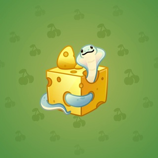 Snake Box #60971