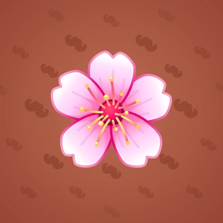 Sakura Flower #80722