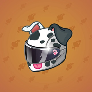 Neko Helmet #9102