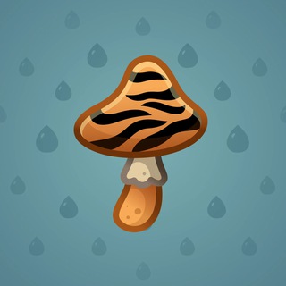 Tiger's Eye