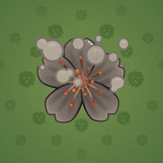 Sakura Flower #64899