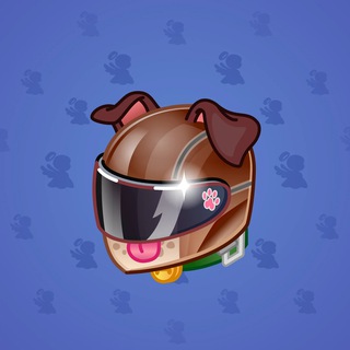 Neko Helmet #2113