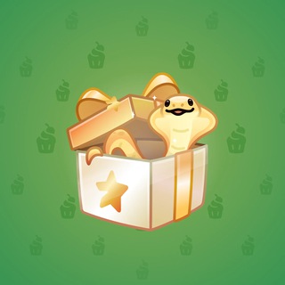 Snake Box #16678