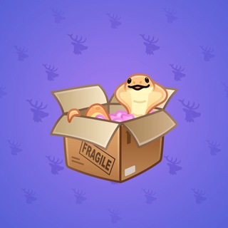 Snake Box #105871