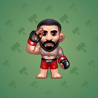 UFC Strike #40735
