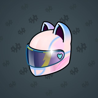 Neko Helmet #13593