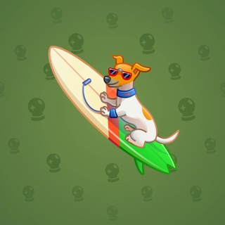 Surge Board #23430