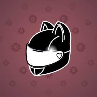 Neko Helmet #5921