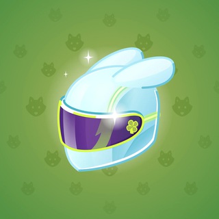 Neko Helmet #13773