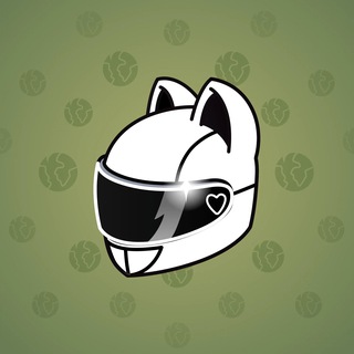 Neko Helmet #1502