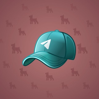 Durov’s Cap #3928