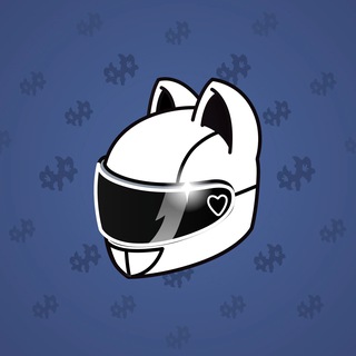 Neko Helmet #248