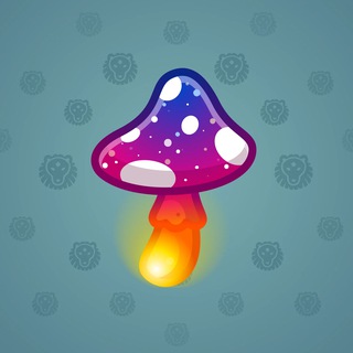 Spy Agaric #3504