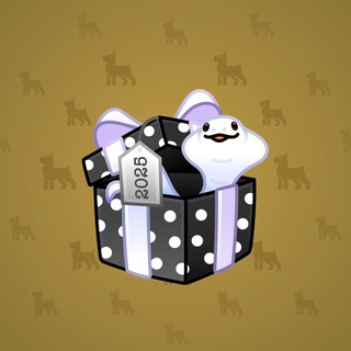 Black Box