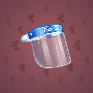 Face Shield