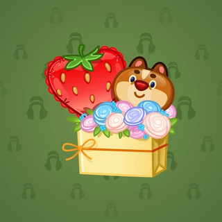 Joyful Bundle #20547