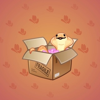 Snake Box #18691