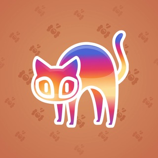 Scared Cat #3053