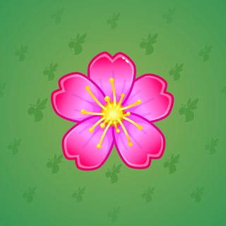 Sakura Flower #63158