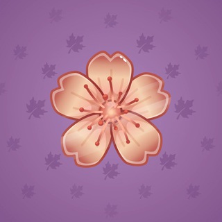 Sakura Flower #73323