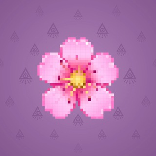 Sakura Flower #14962