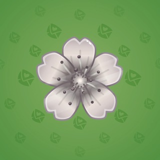Sakura Flower #30885