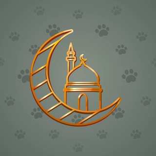 Faith Amulet #62730