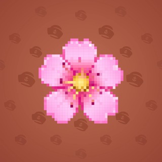 Sakura Flower #41605