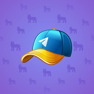 Durov’s Cap #583