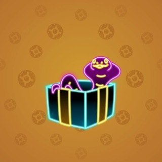 Snake Box #121492