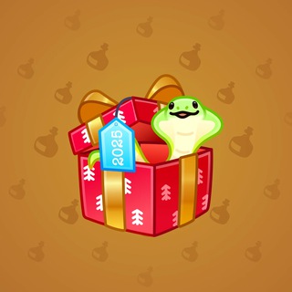 Snake Box #70527