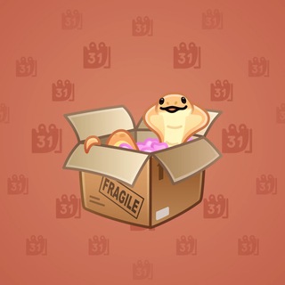 Snake Box #117547