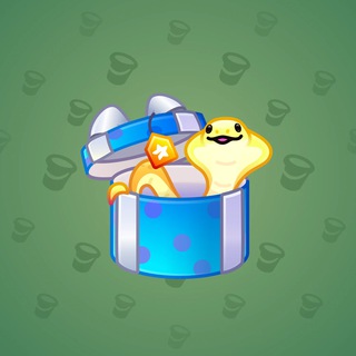 Snake Box #142031