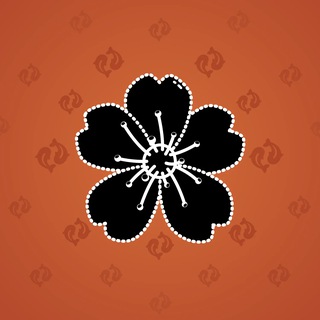 Sakura Flower #11965