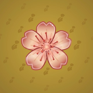 Sakura Flower #65192