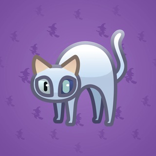 Scared Cat #16349